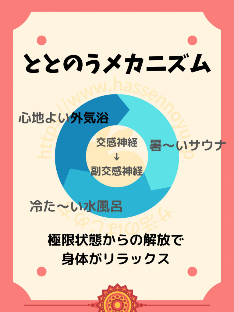 サウナでととのうタイミングは外気浴のとき。 サウナ室の暑さ 水風呂の冷たさ 2つの非日常的な温度からの解放が、ととのうためのスイッチになります。 サウナ室や水風呂の温度の中だと、体は身を守るために交感神経が優位となりアドレナリンが分泌されます。 反対に、外気浴の心地よい温度では、体が緊張状態から解放され副交感神経が優位となります。 この交感神経から副交感神経の切り替えのタイミングがととのっている状態です。